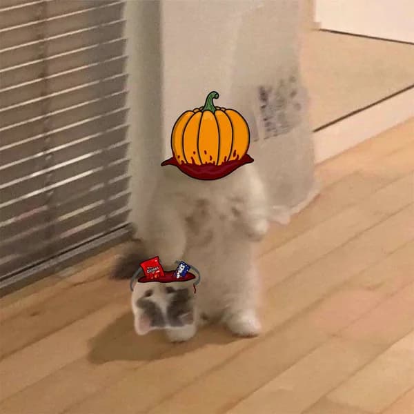 halloween pumpkin scary costume