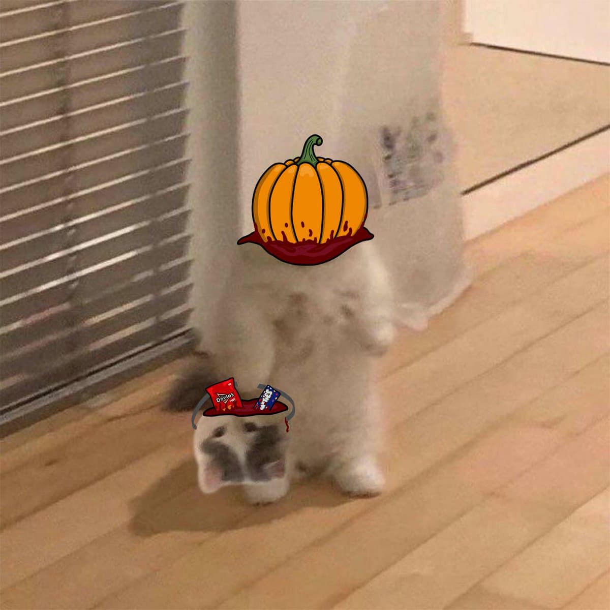 halloween pumpkin scary costume