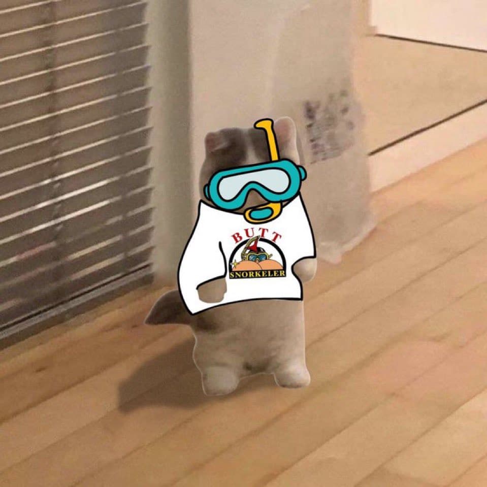 funny swim swimming butt snorkle snorkler