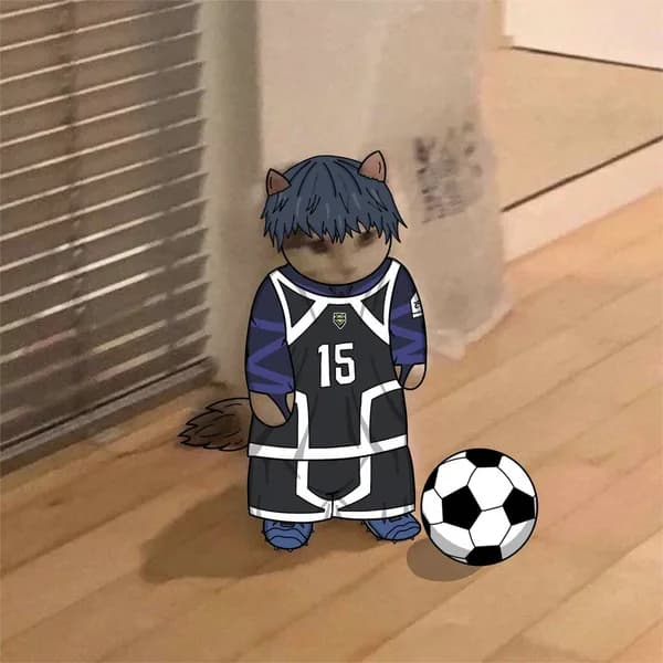 soccer football