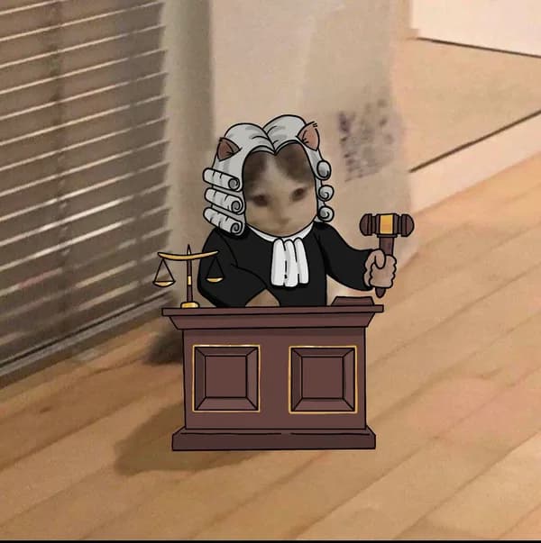 judge law