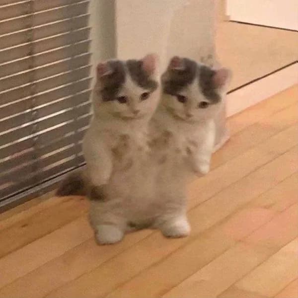 double funny