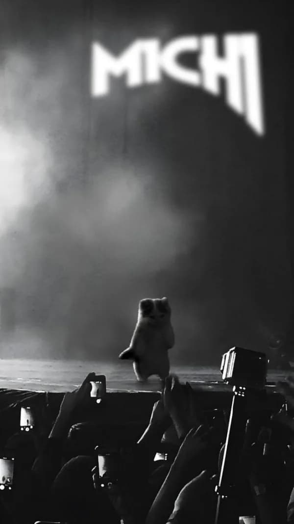 stage concert vibe