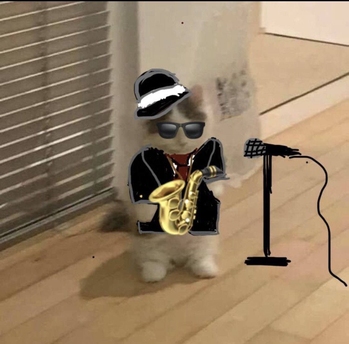 music sunglasses mic sing muscian saxophone