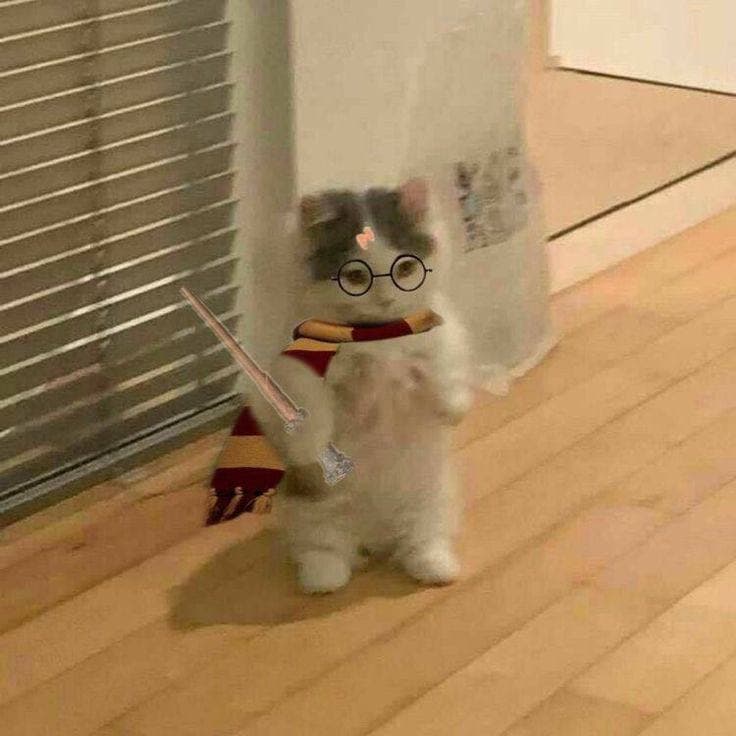 harry potter wand scarf