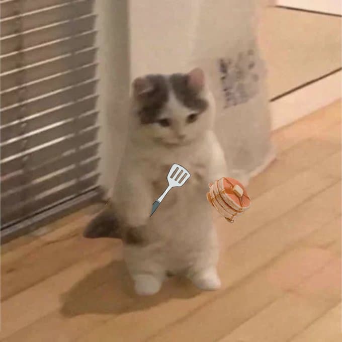 food spatula cook pancake