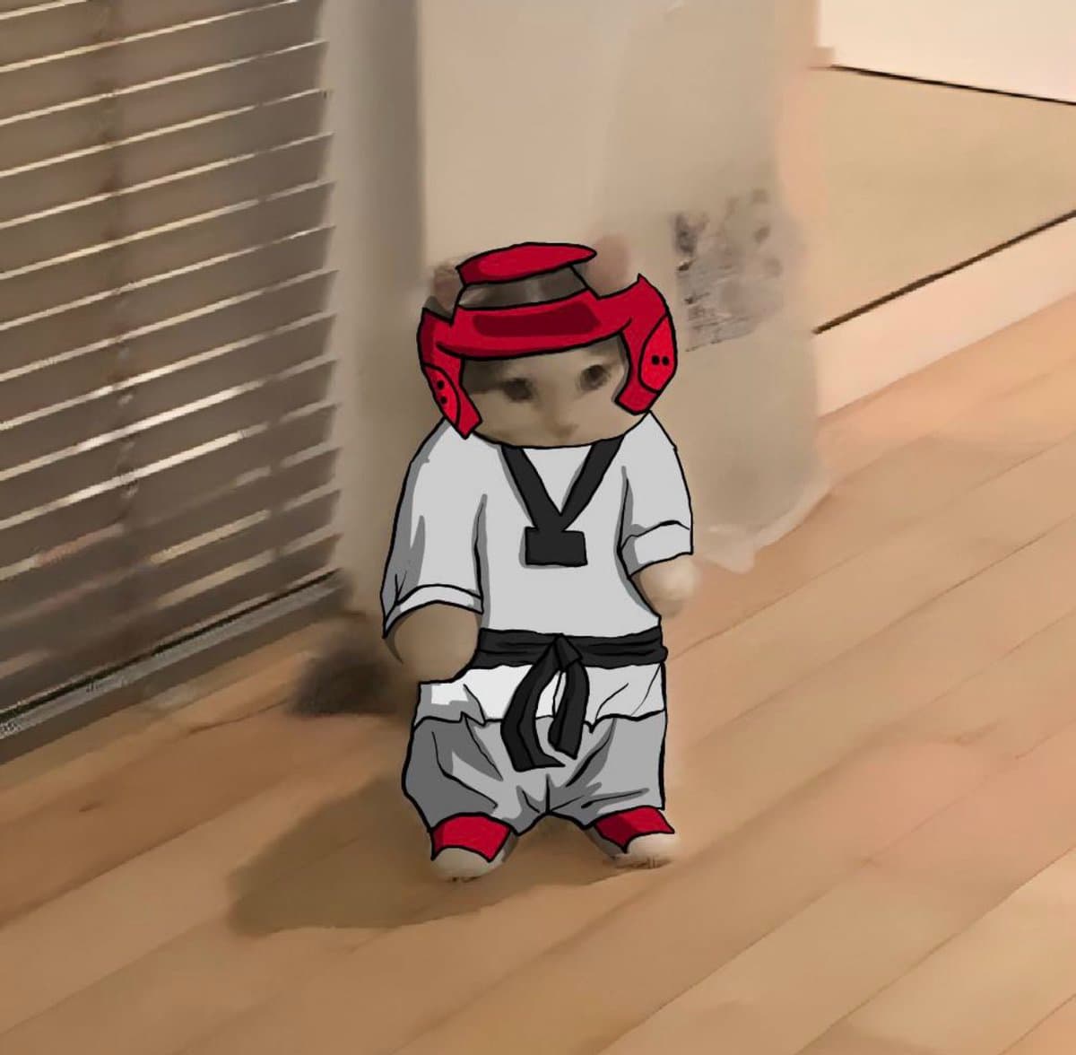 martialarts karate taekwondo blackbelt