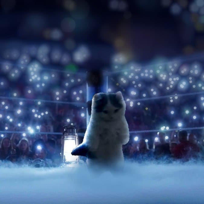 box ring fog vibe fight