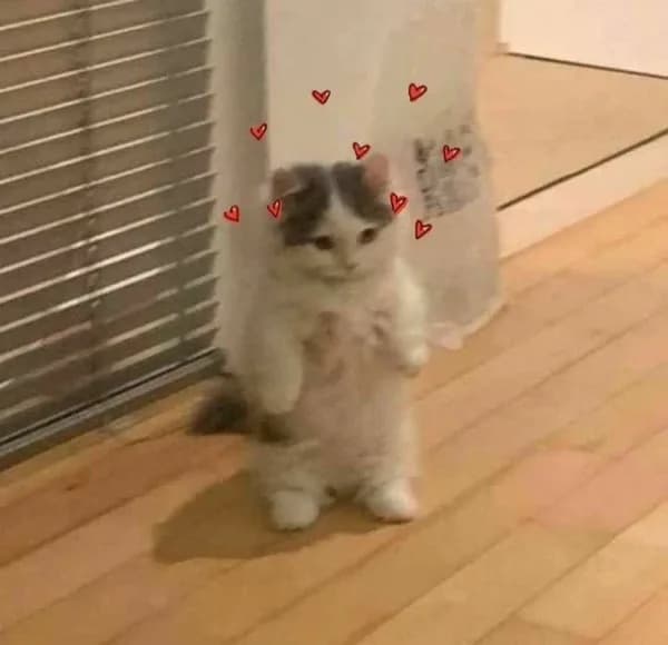 love heart