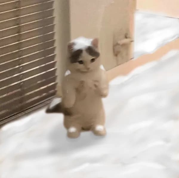 cute snow winter