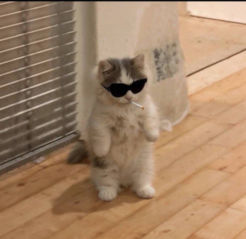 cool smoke vape smoking sunglasses