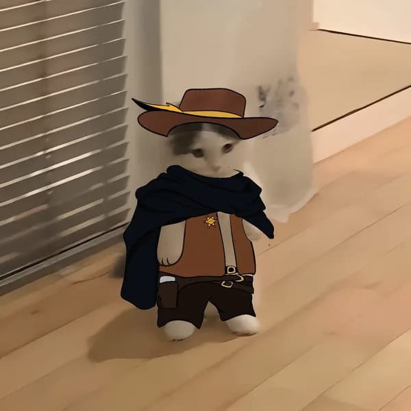 cowboy western hat