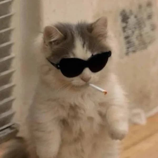 cool smoke vape smoking sunglasses