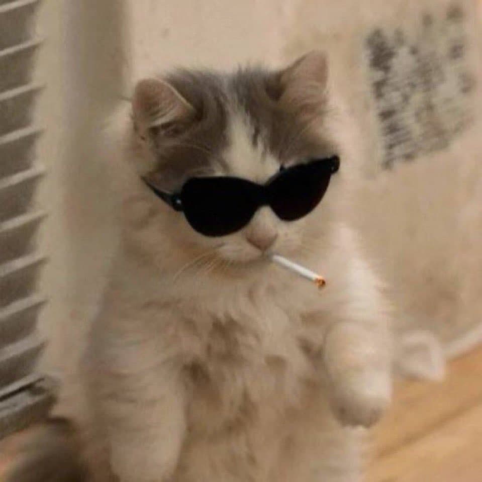 cool smoke vape smoking sunglasses