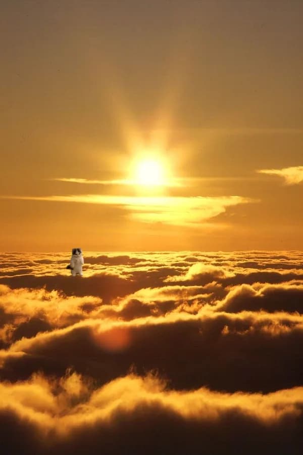 sun cloud sky vibe