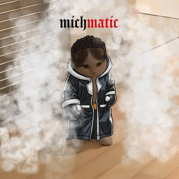 ansem boxing michimatic