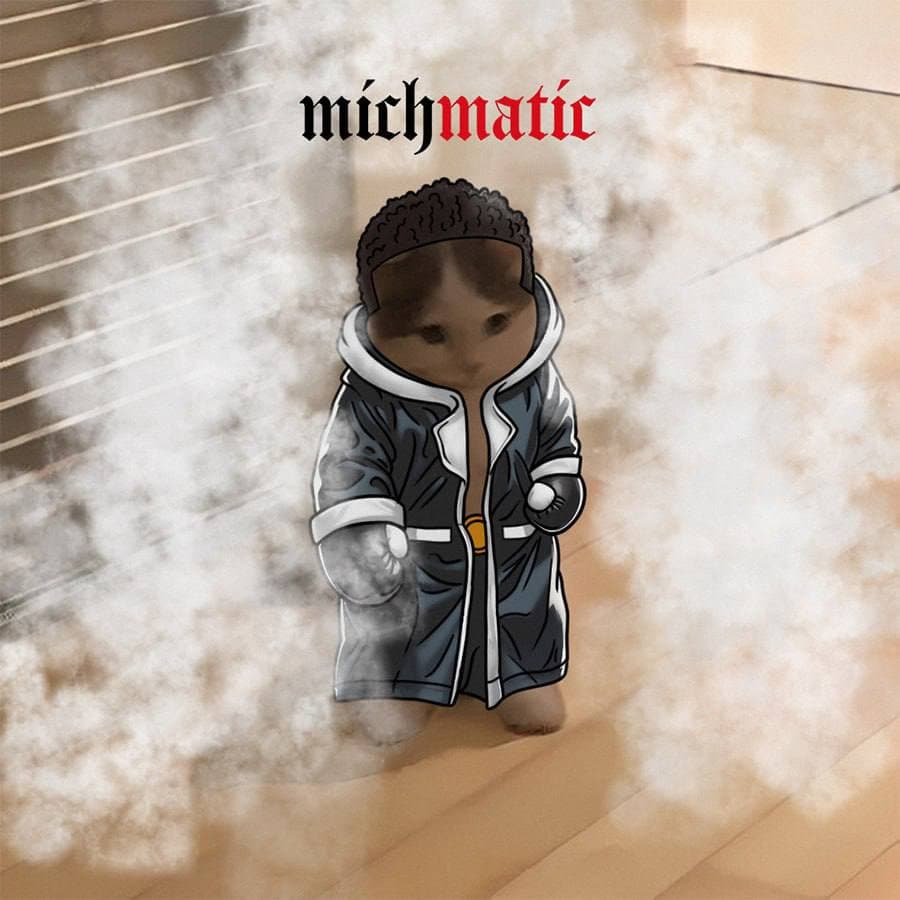 ansem boxing michimatic