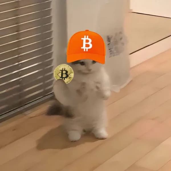 bitcoin btc