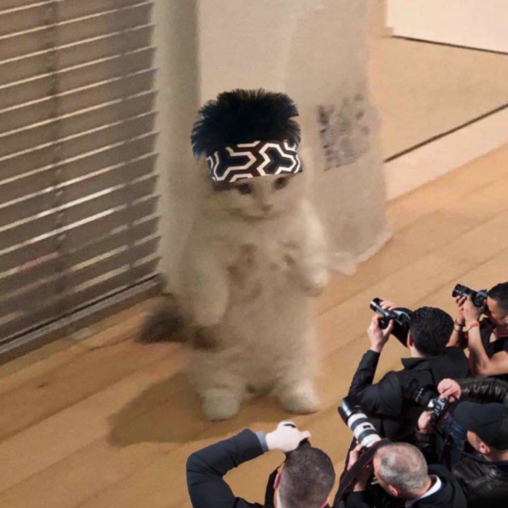 reporter picture camera paparzi