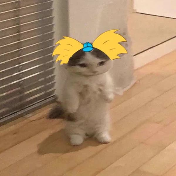 heyarnold