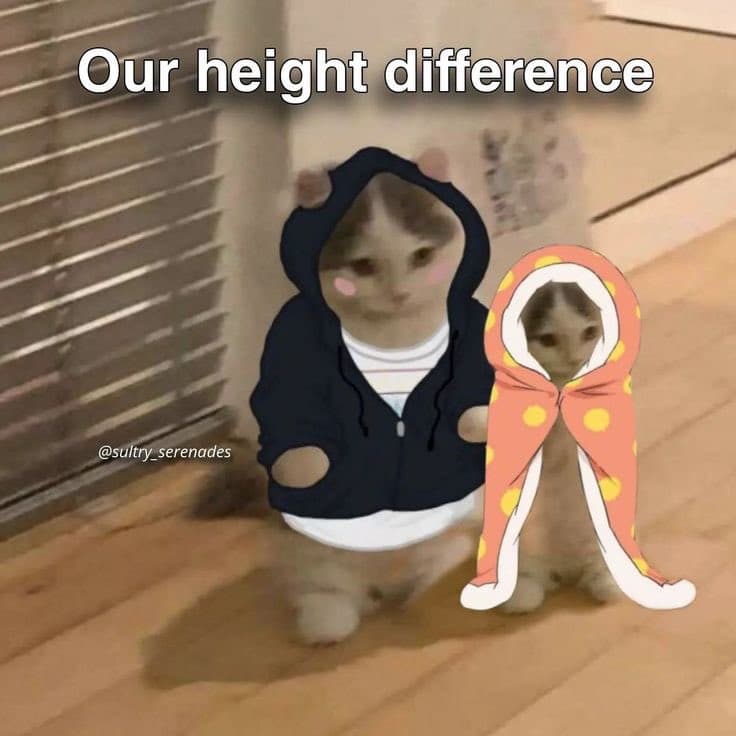 height cute couple difference