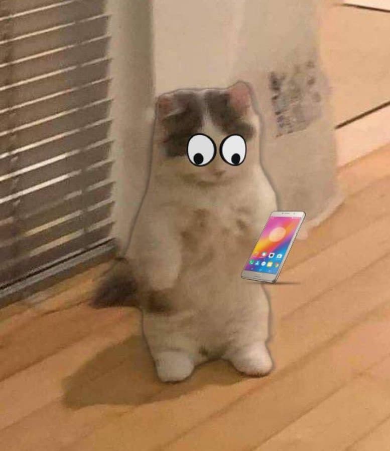 phone eyes pop cell look