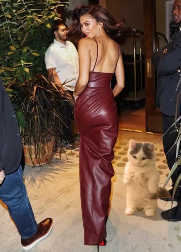 girl brunette ass dress gyatt