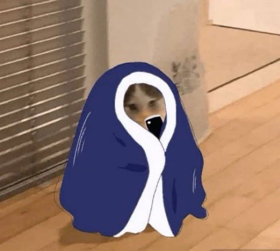 sleep blanket gnichi cozy warm cute