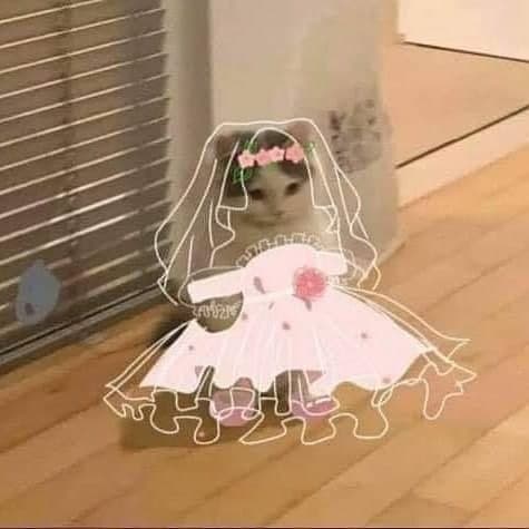 cute girly pink princess