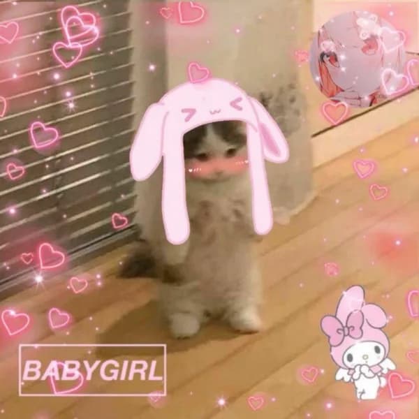 girly cute hat bunny pink