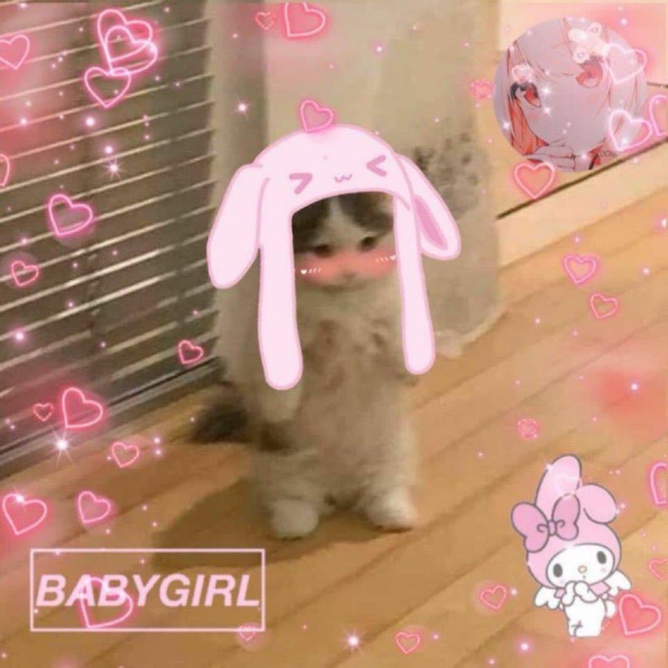 girly cute hat bunny pink