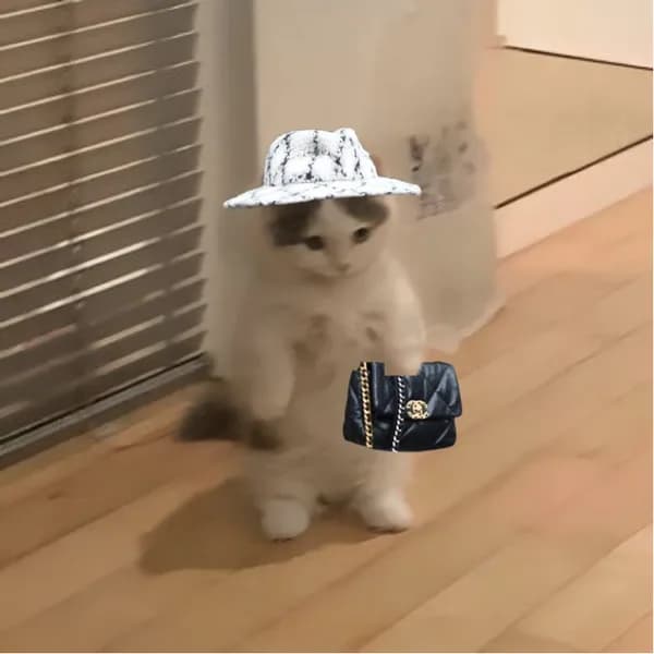 hat bag drip