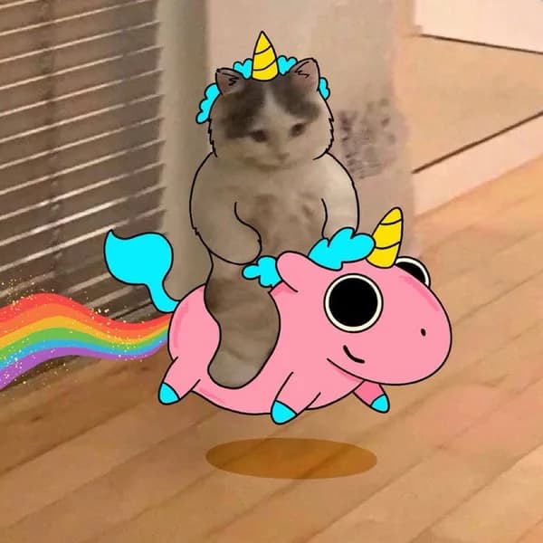 ufd unicornfartdust