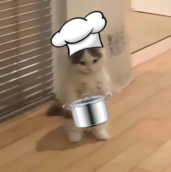 cooking chef hat pot