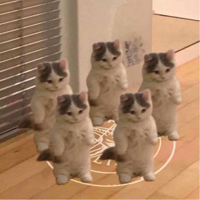 cult group gang wagmichi