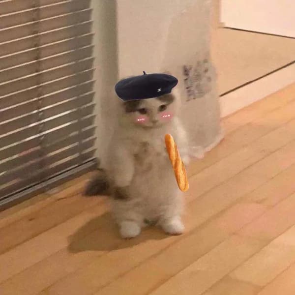 paris french baguette bread hat