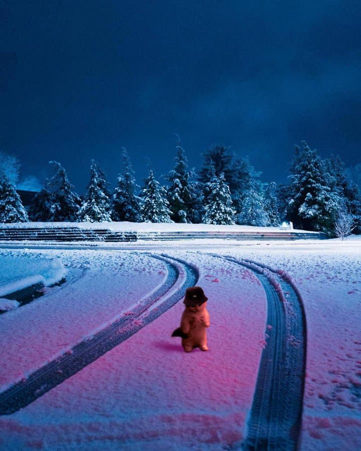 snow hat beanie outdoors winter mood vibe