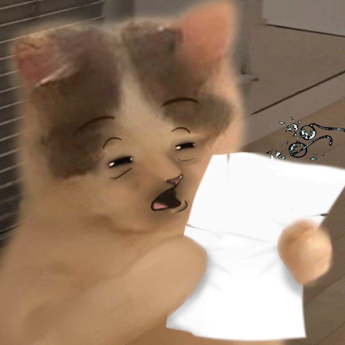 funny cute read confused