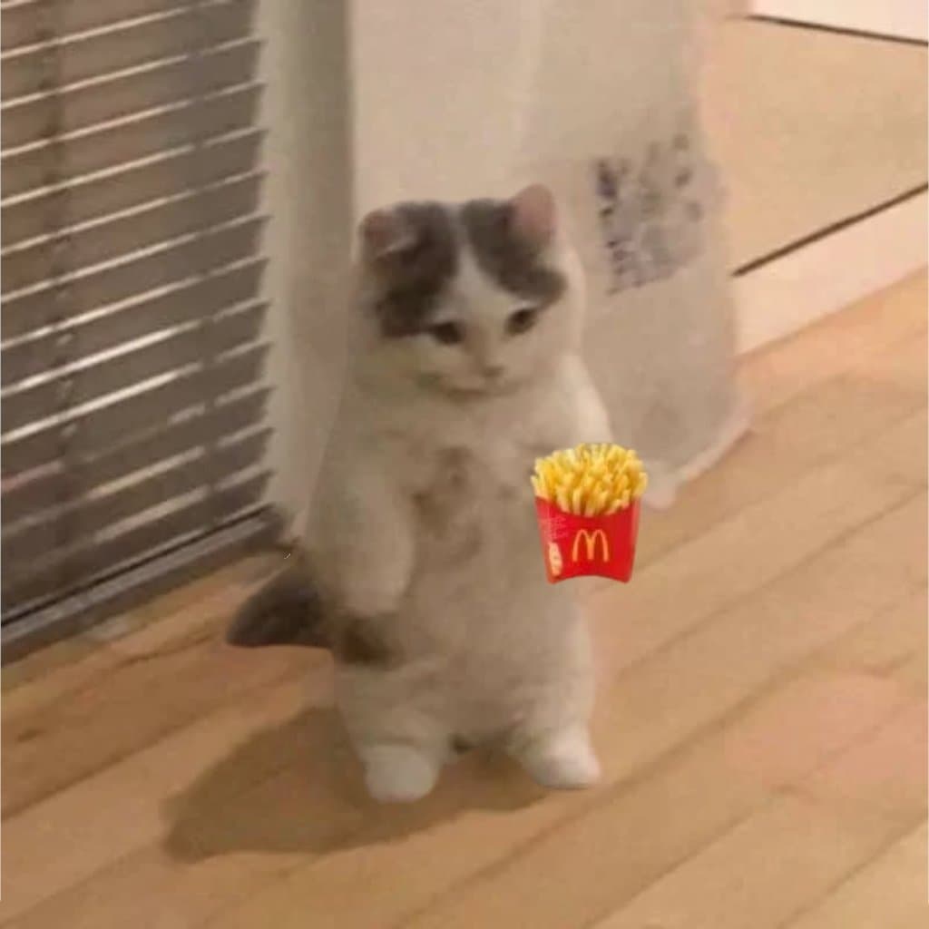 mcdonalds fries wagie funny cute