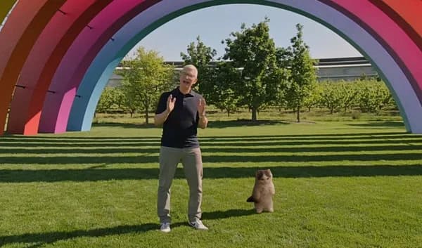 timcook apple rainbow outdoors grass