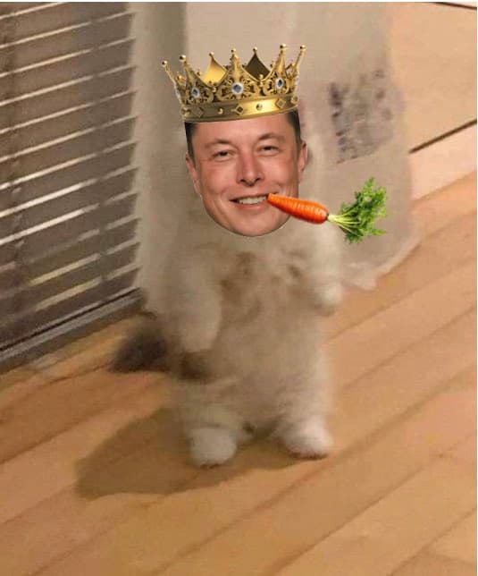 elonmusk crown cigar smoke cigarette funny