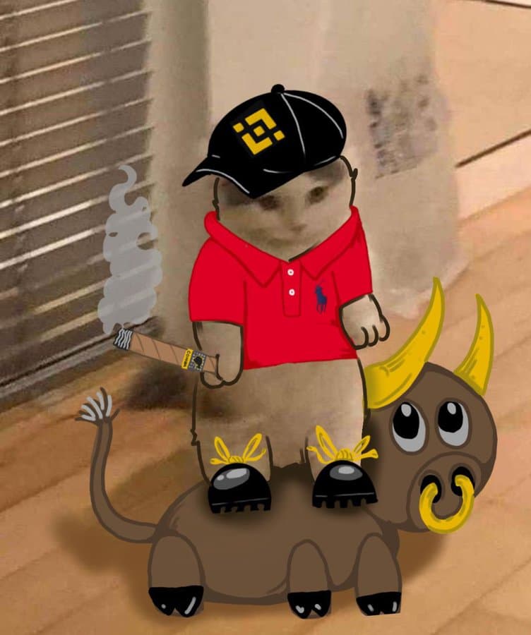 binance bull smoke cigar hat cigarette