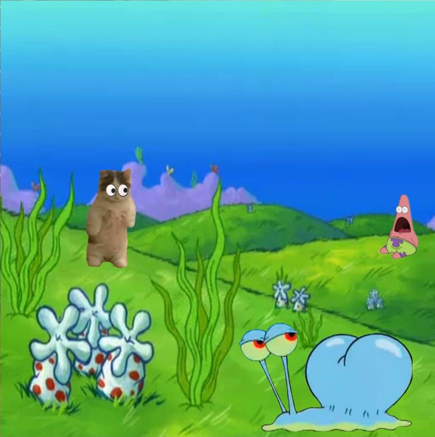 spongebob tv television patrick gary funny cute