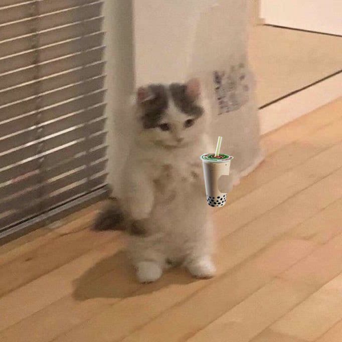 boba pearl milktea funny cute drink