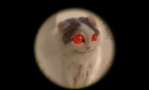 doorbell creepy redeyes peephole