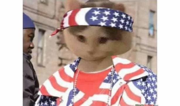 usa america bandana flag