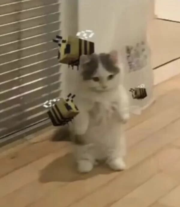 bee mincraft games