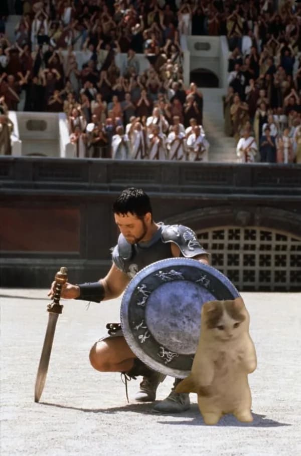 movies gladiator war fight sword weapon shield