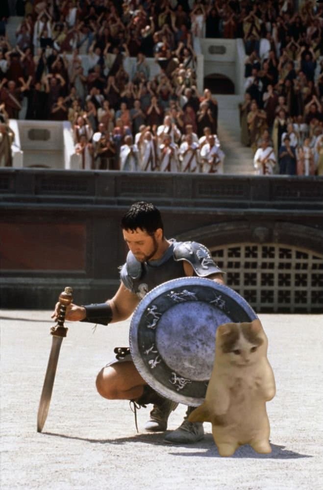 movies gladiator war fight sword weapon shield