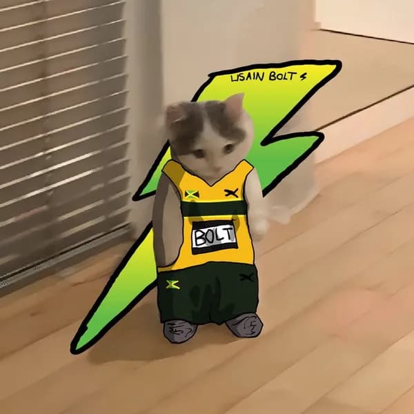 usainbolt track run